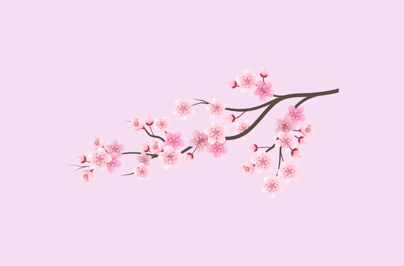 五分咲き よもやま話（その３）